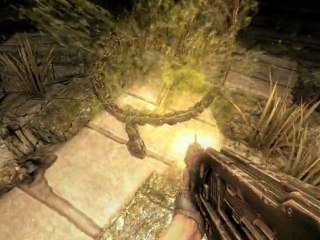 Aliens vs Predator - Trailer Survivor FR