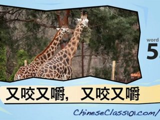 Learn Chinese - Learn with Chinese Safari Videos