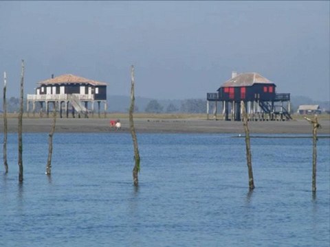 LE BASSIN D'ARCACHON