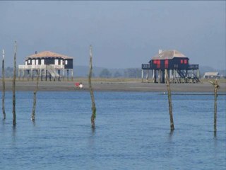LE BASSIN D'ARCACHON