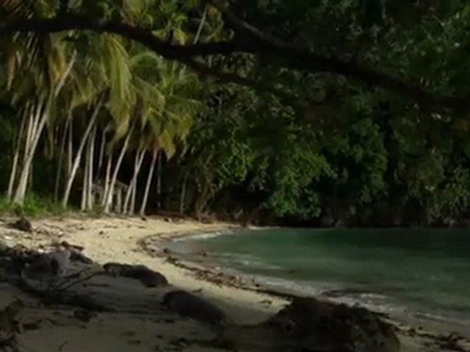 Sulawesi 2010