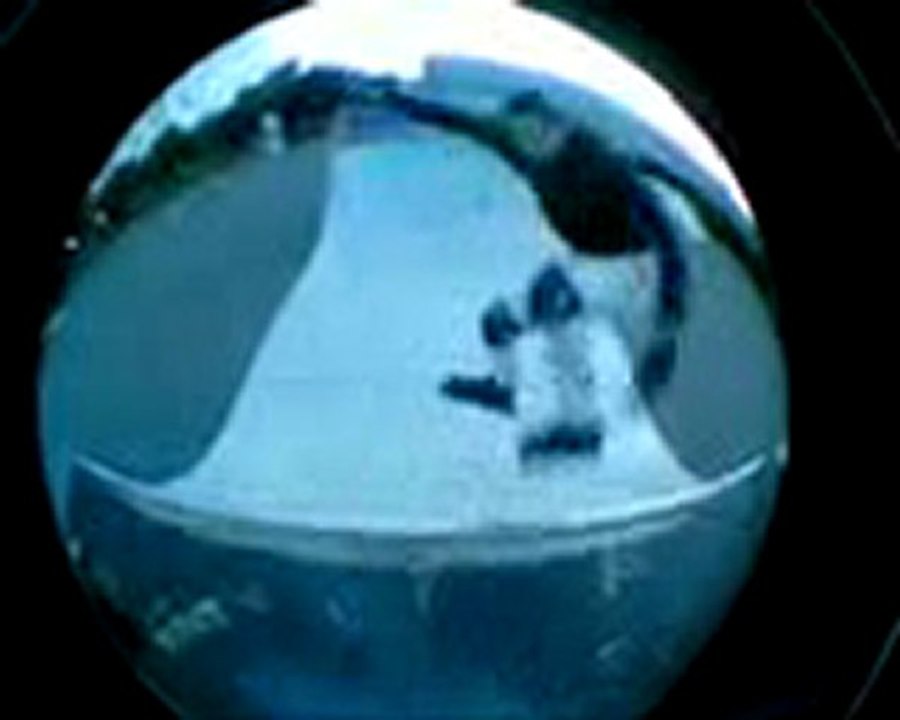 Roller skating for a Dummie