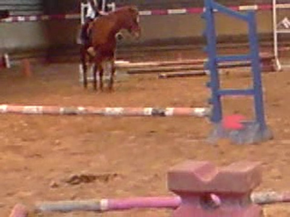 SANNA CHALLENGE EQUITATION 1 ER TOUR 2010
