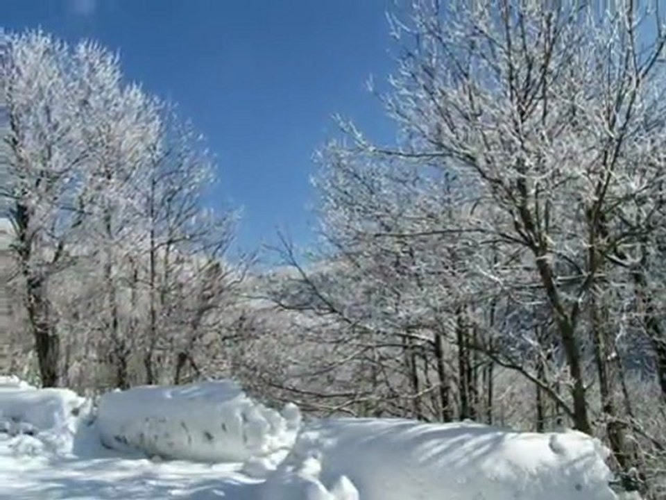Galaverna nebbia  giacciata 30-1-2010