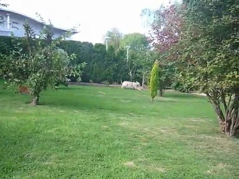 P1030468