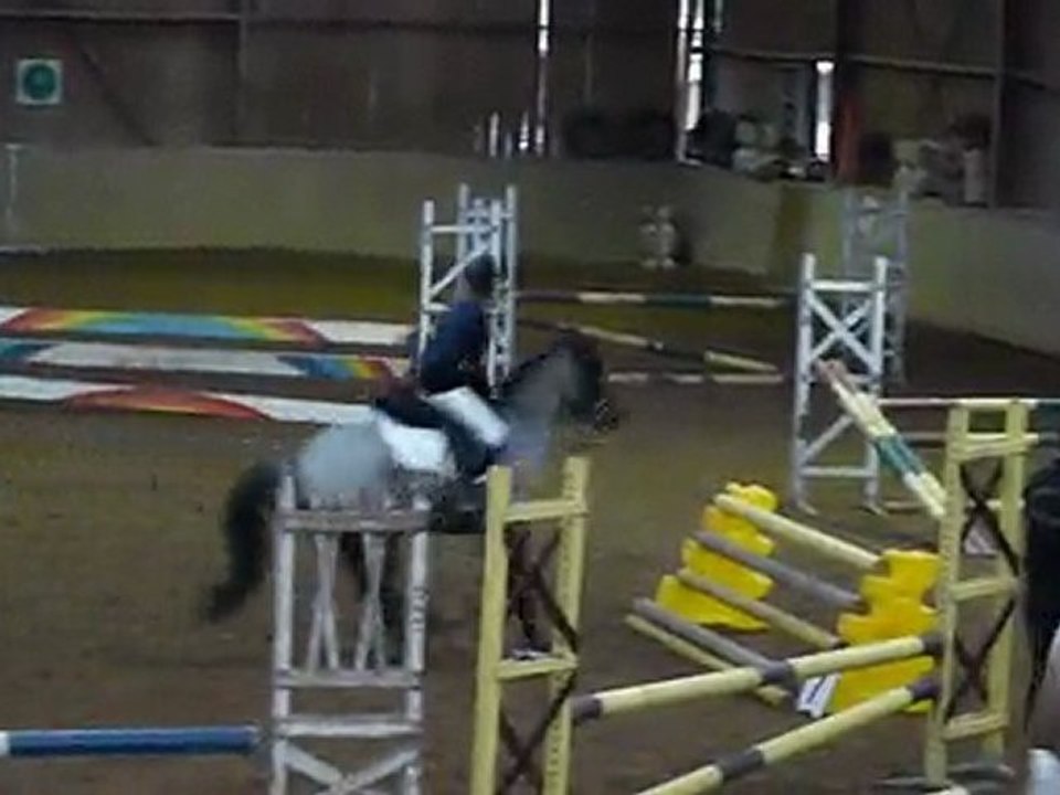 Concours Allonnes - 7.01.2010 - Maëlle et Ohé