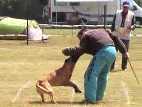 Sélectifs ring 2009 Ampire du Banc des Hermelles