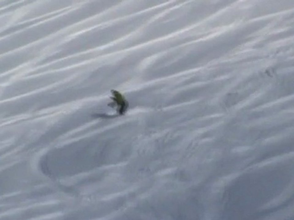 fred dans poudre