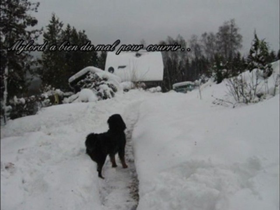 03 Fevrier 2010