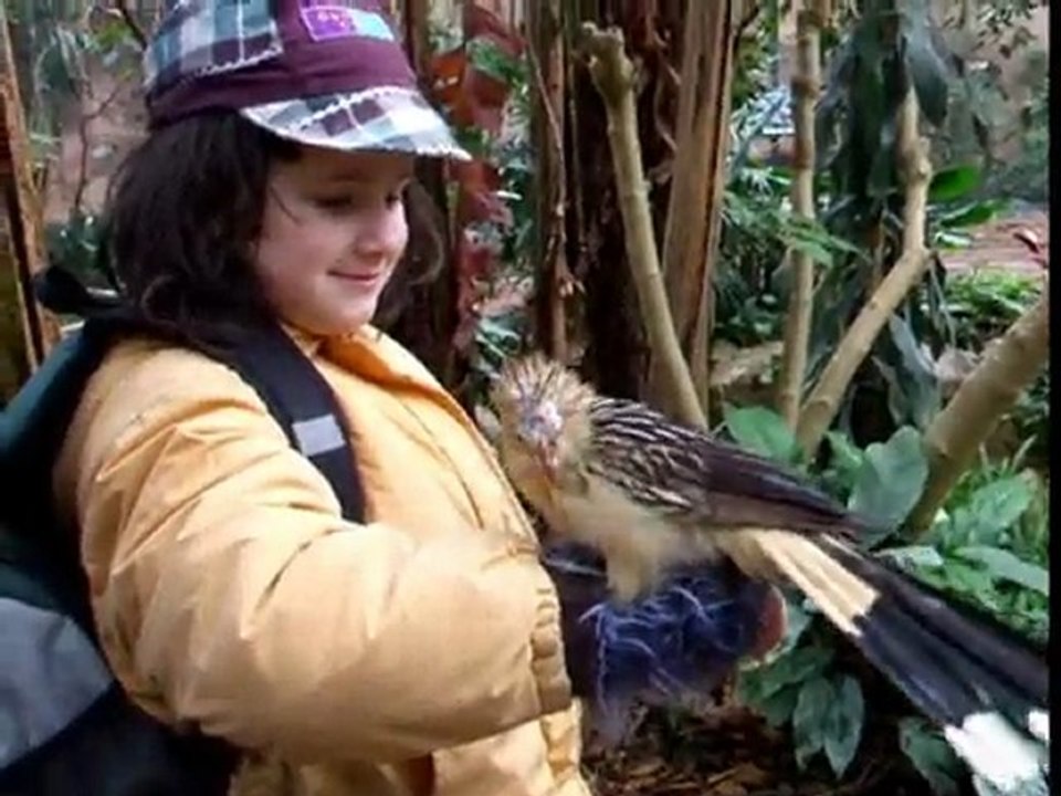 Beauval video_instants_magiques_dans_la_serre_10-02-04