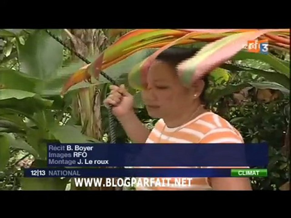 CYCLONE OLI POLYNESIE FRANCAISE 4.2.2010 FRANCE3 BLOGPARFAIT