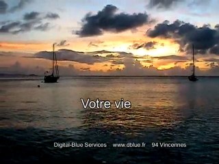 Digital-Blue Services Vincennes