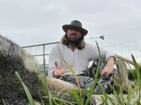 Shaun Ellis talks about dog and wolf communication problems.