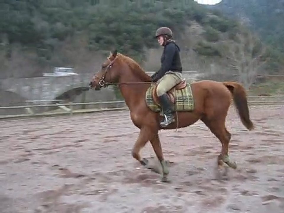 travail au galop à droite janvier 2010