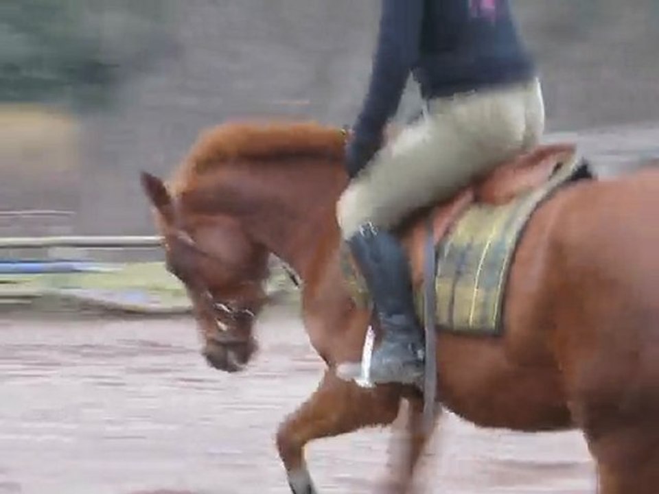 travail au galop à gauche janvier 2010