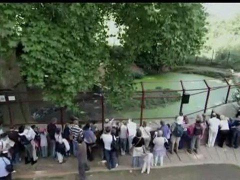 A Man Among Wolves 1/5