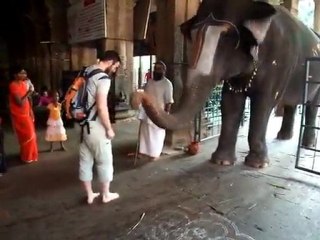 India - Trichy - Vishnou Temple - Blessing By An Elephant