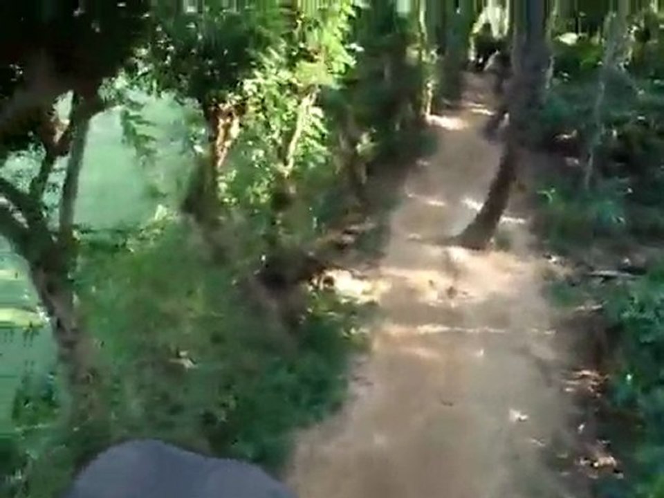 India - Kumili - Elephant Ride
