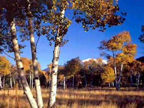 Zabiorę Cię właśnie tam