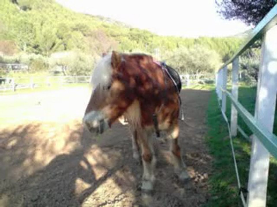 lacme 03/02/2010