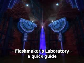 DDO - Fleshmaker's Laboratory - A quick guide