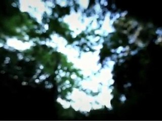 Anthony And The Johnson, Another World