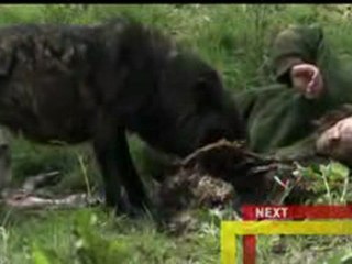 A Man Among Wolves 5/5