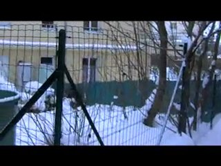 neige a crest janvier 2010