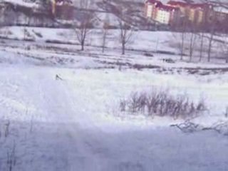 Luge Roumanie Session ++