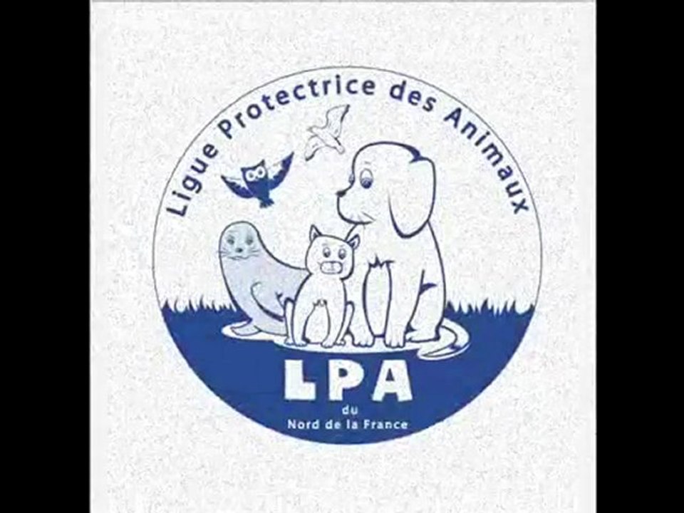 Le Bagnolchka Daily News