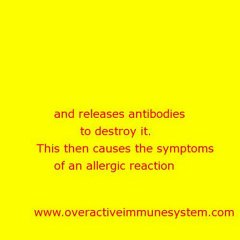 Overactive Immune System 8