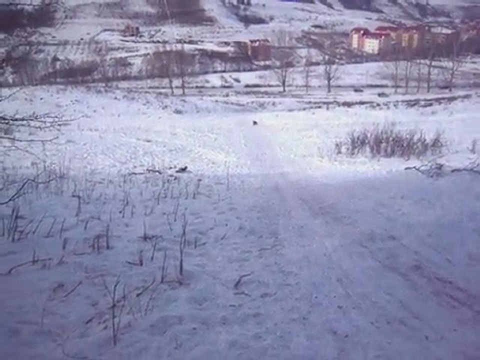 Luge Roumanie Session Hardu !