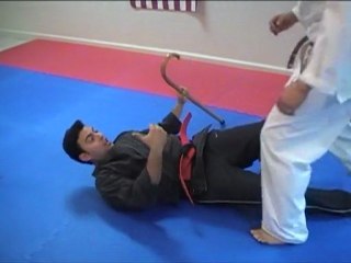 Cane Aconda, How to Grapple With The Cane