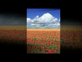 Soothing Nature Sounds & Downloads