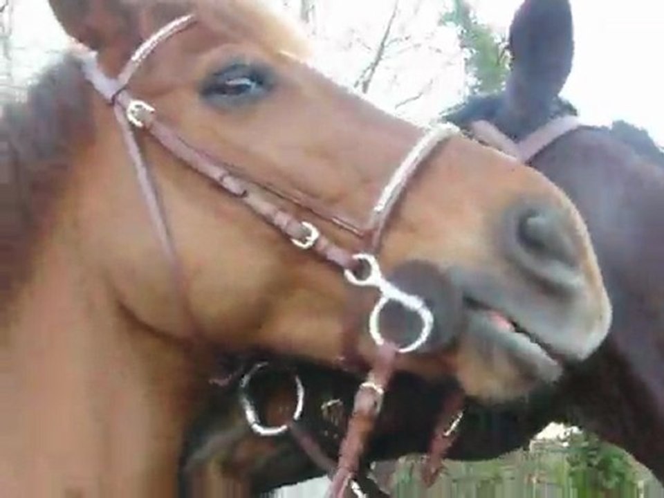 Magic et helios