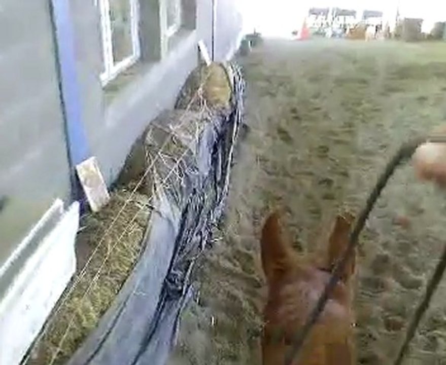 Vidéo-0004