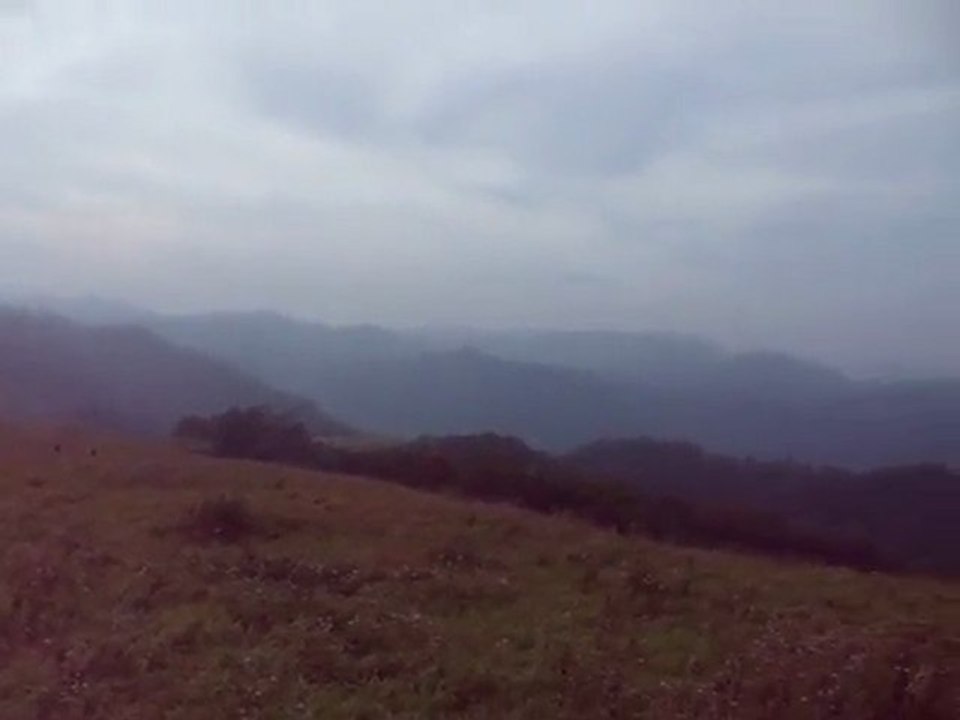 India - Kumili - Peryar Safari Trek