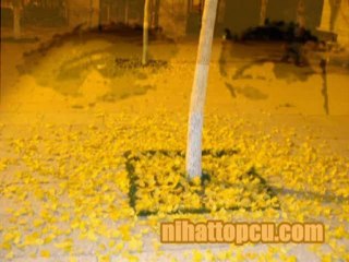 Yıllar yağdı saçlarıma / Nalan Altınörs