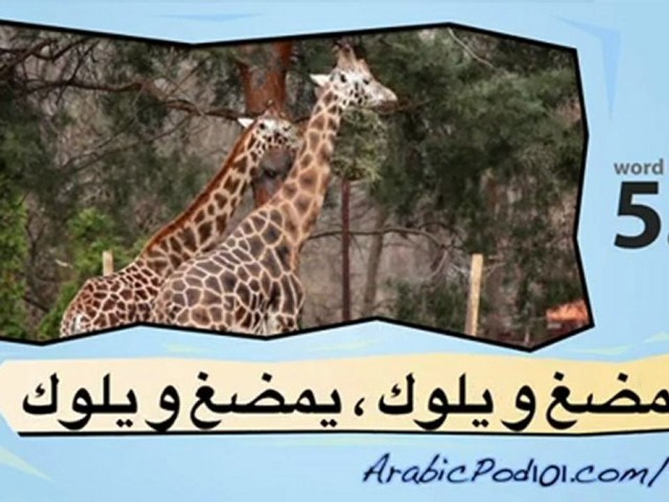 Learn Arabic - Learn with Arabic Safari Videos
