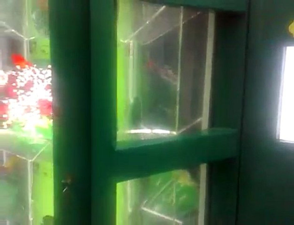 Flower Vending Machine