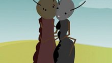 Ciclo de un Termitero