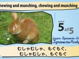 Learn Japanese - Learn with Japanese Common Animal Videos