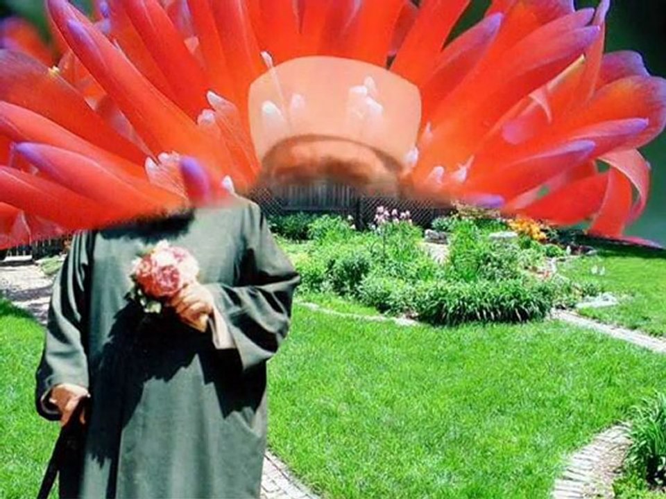 seyda gavs menzil sofi