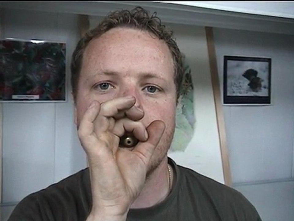 Appeau grive mauvis - A70