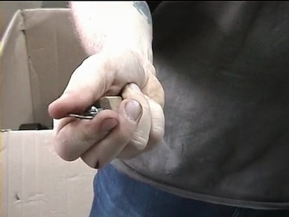 Appeau grive musicienne - A66