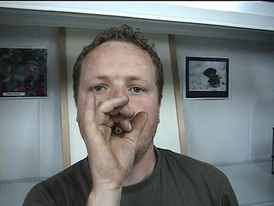 Appeau grive litorne - N°71