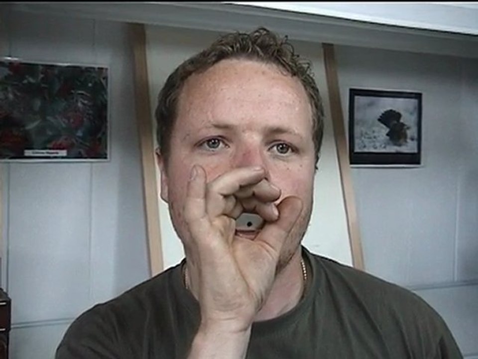 Appeau merle noir - N°25