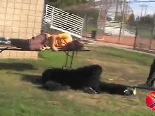Wrestling FAIL