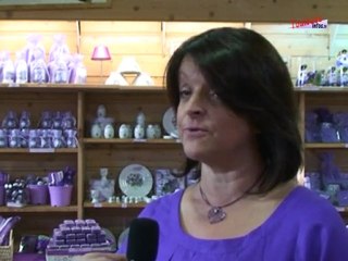 Fête de la violette à Toulouse