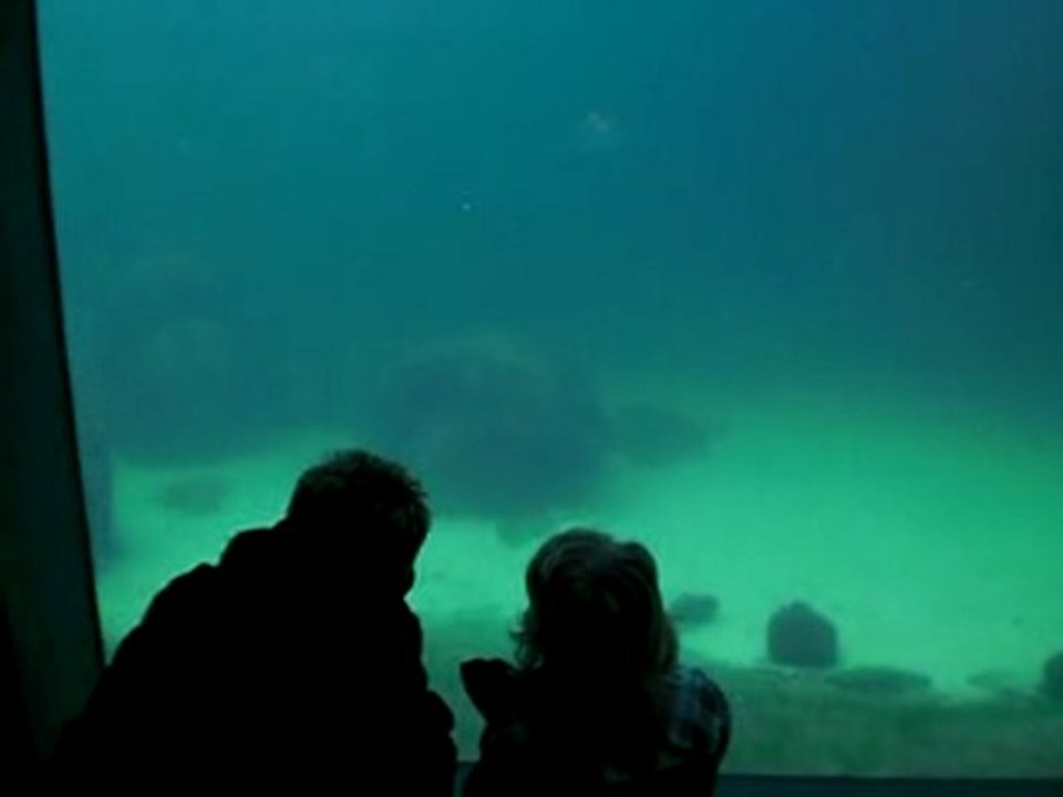 Aquarium Bremerhaven 03.02.